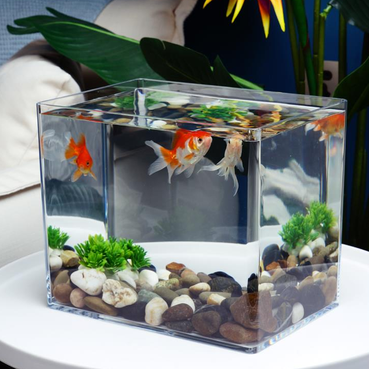 FC25-50 Прозрачный аквариум для домашнего хозяйства