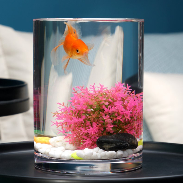 VR100-250 Пластиковый прозрачный аквариум